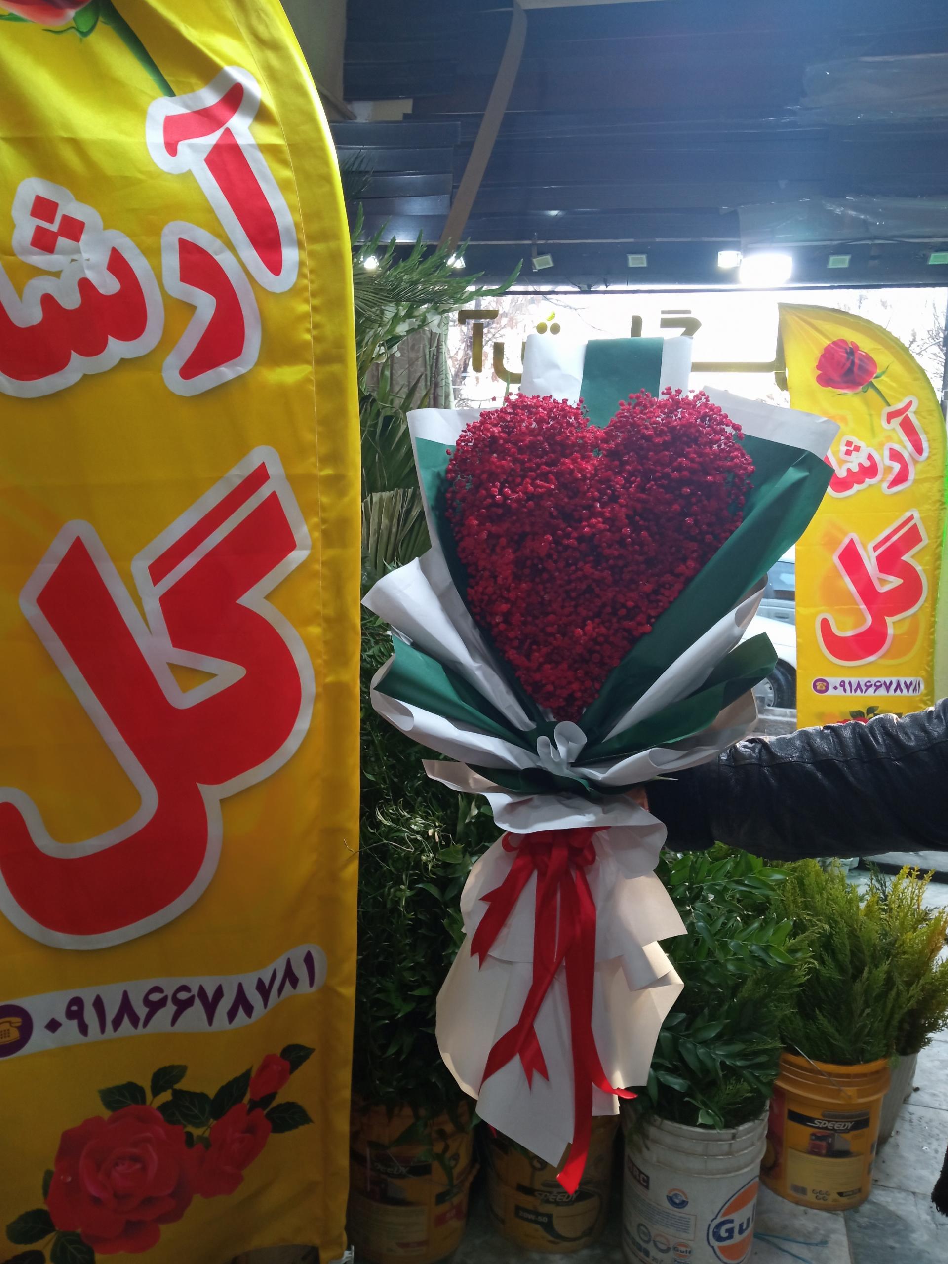 عکس آرشا گل ملایر 