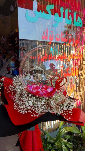 عکس فروشگاه لوازم تولد هانالوکس چمستان