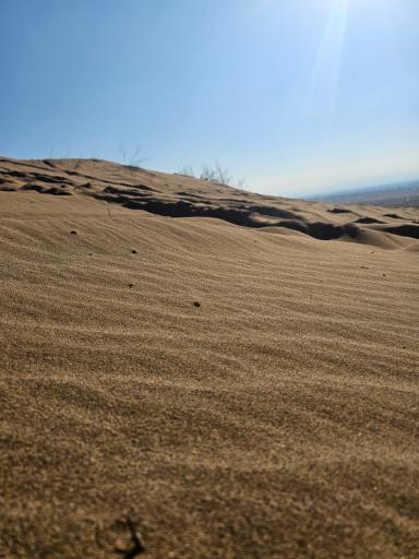 عکس کویر ابوزیدآباد