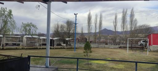 عکس رستوران آیواض