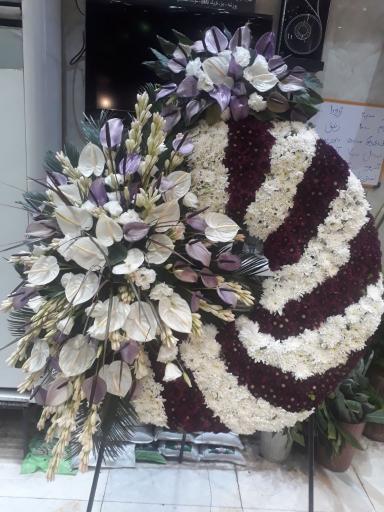 عکس آرشا گل ملایر 