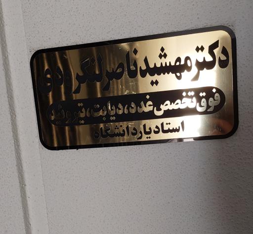 عکس دکتر سیده مهشید ناصر لنگرودی (فوق تخصص غدد بالغین)
