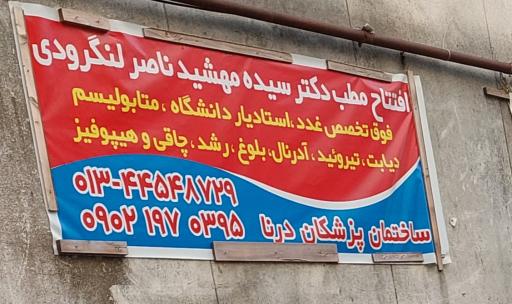 عکس دکتر سیده مهشید ناصر لنگرودی (فوق تخصص غدد بالغین)