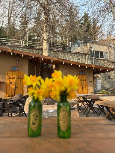 عکس کافه رستوران مذهبی فانوس جماران