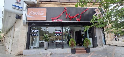 عکس کباب باشی