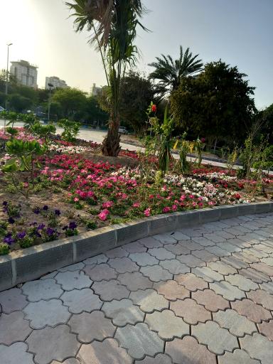 عکس رستوران بادگیران