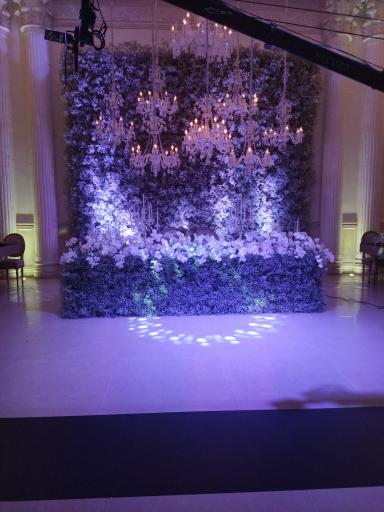 عکس باغ عمارت 21