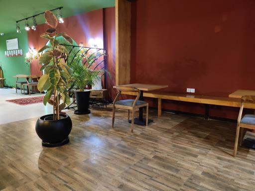 عکس کافه ژاکو