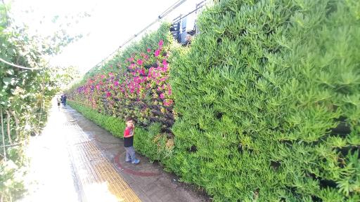 عکس پارک گلدشت حافظ