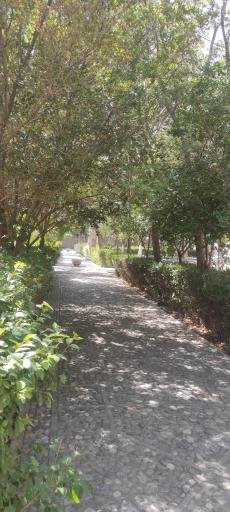 عکس سردر عالی قاپو