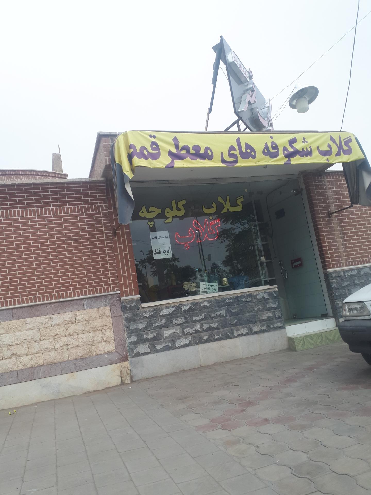 عکس گلاب شکوفه های معطر قمصر