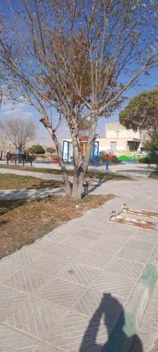 عکس بوستان آلاله