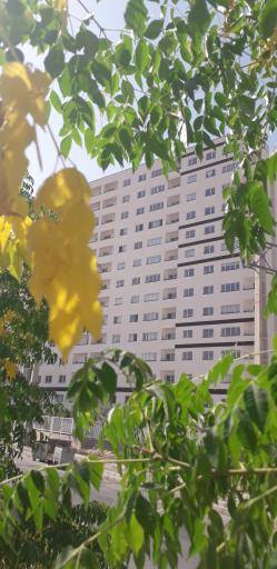 عکس برج های مسکونی کیسون