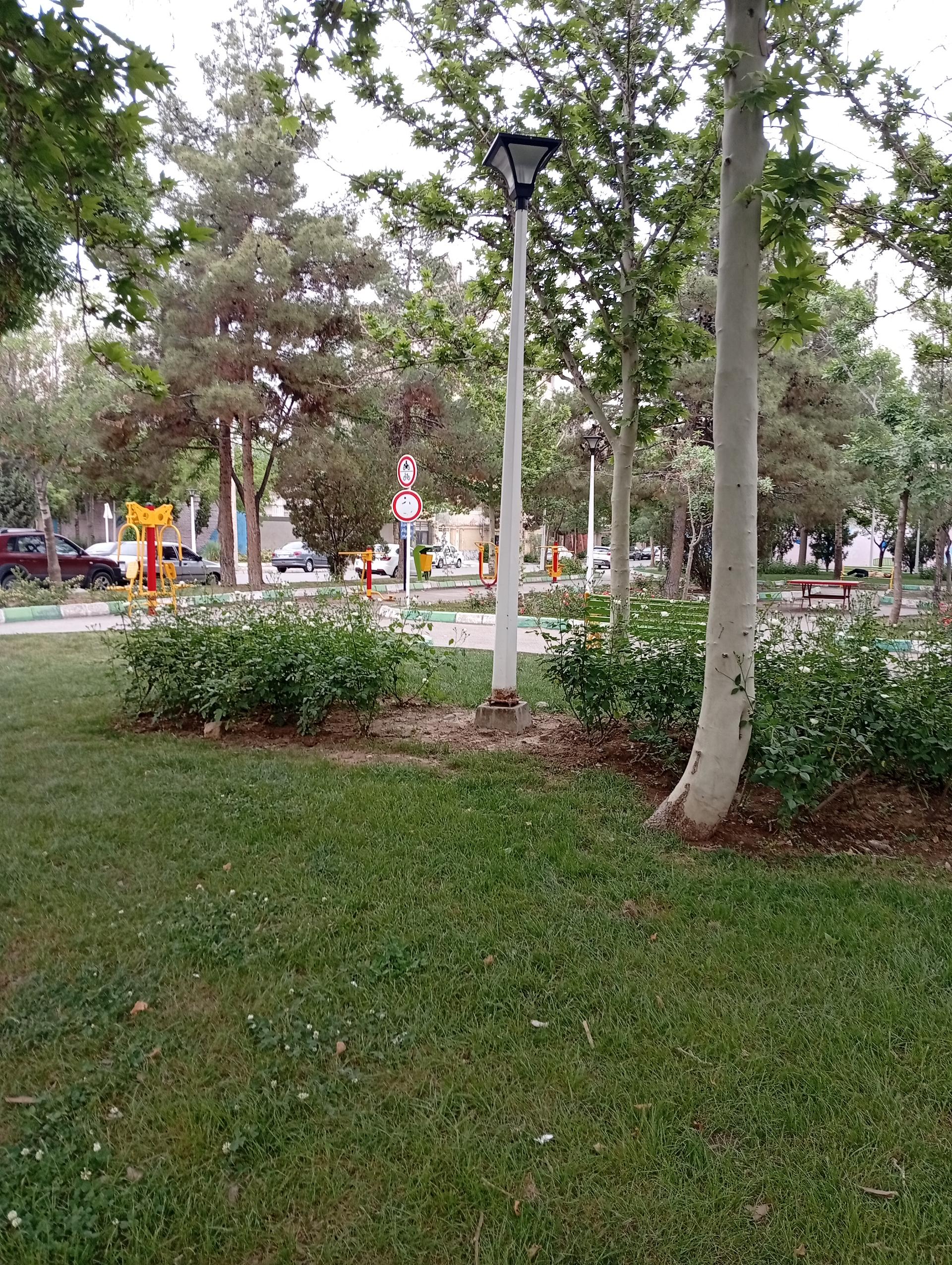 عکس بوستان 45