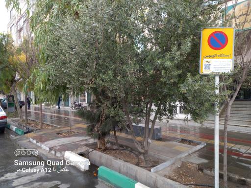 عکس مجتمع ولایت