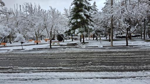 عکس بوستان غنچه