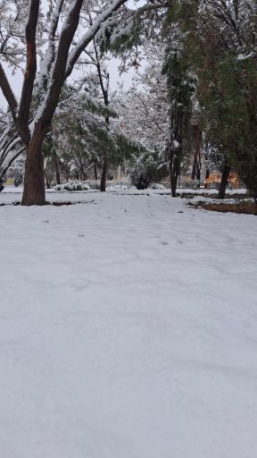 عکس بوستان غنچه