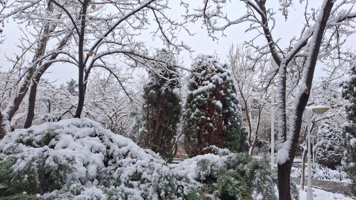 عکس بوستان غنچه