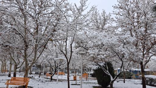 عکس بوستان غنچه