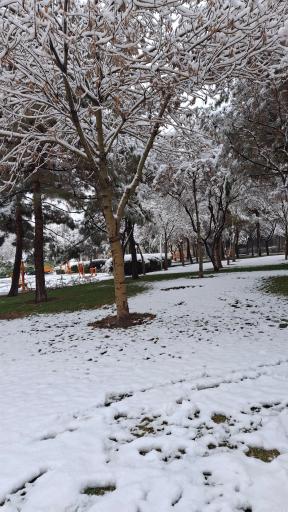 عکس بوستان غنچه