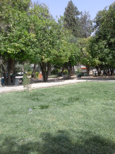 عکس باغ ملی