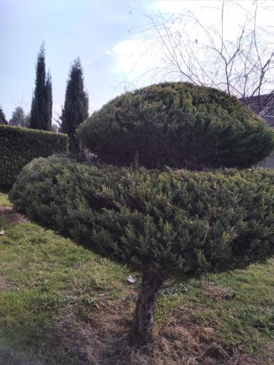 عکس مجتمع کشاورزی گردشگری باغ سبز