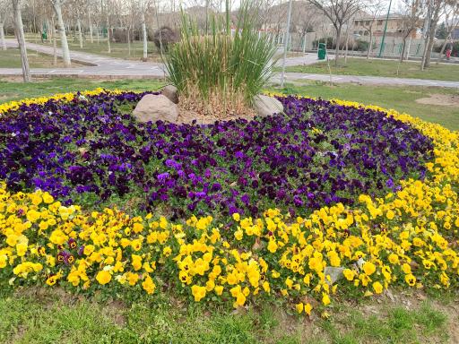 عکس بوستان دوکوهه