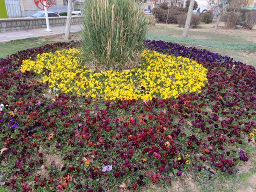 عکس بوستان دوکوهه