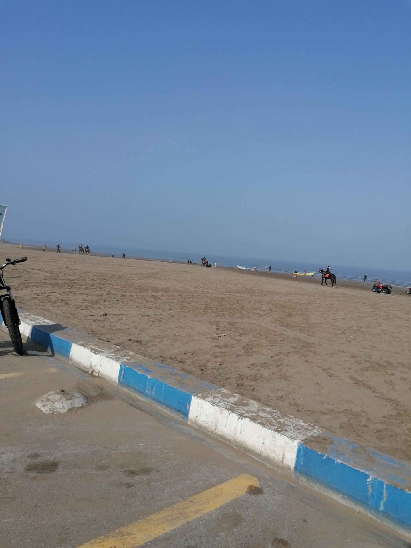 عکس سوارکاری 