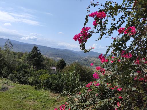 عکس گرمستان