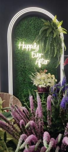 عکس گل رومی