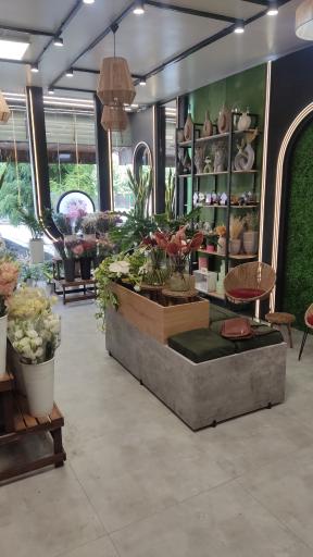 عکس گل رومی