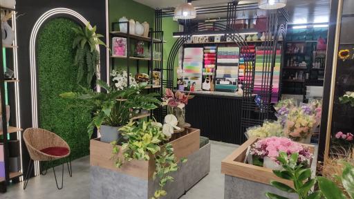 عکس گل رومی