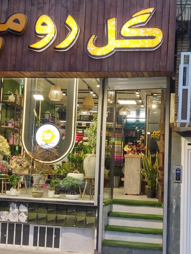 عکس گل رومی