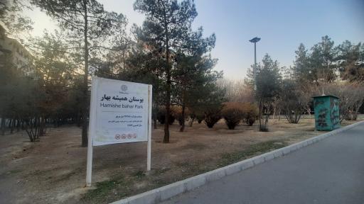 عکس بوستان همیشه بهار