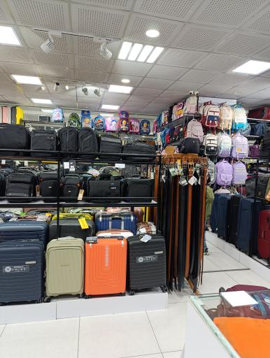 عکس کیف و کفش امید 