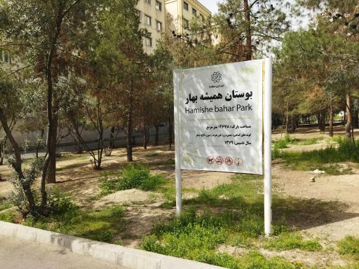 عکس بوستان همیشه بهار