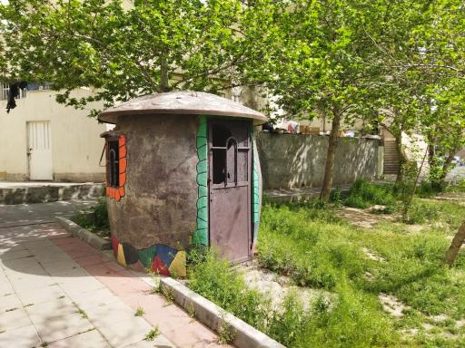 عکس بوستان همیشه بهار