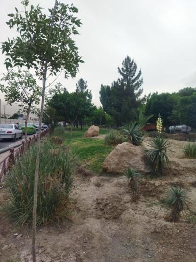 عکس بوستان دوکوهه