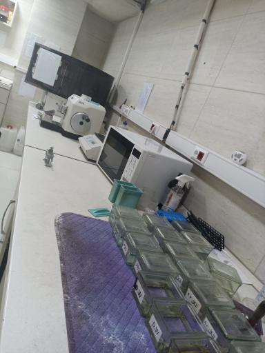 عکس شرکت هلیا تامین آریا