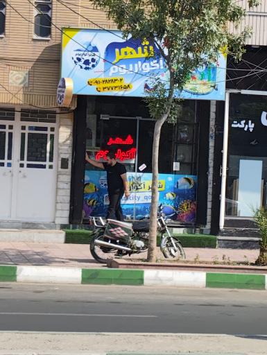 عکس شهر آکواریوم