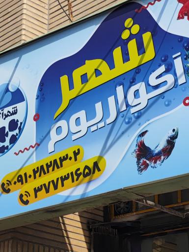 عکس شهر آکواریوم