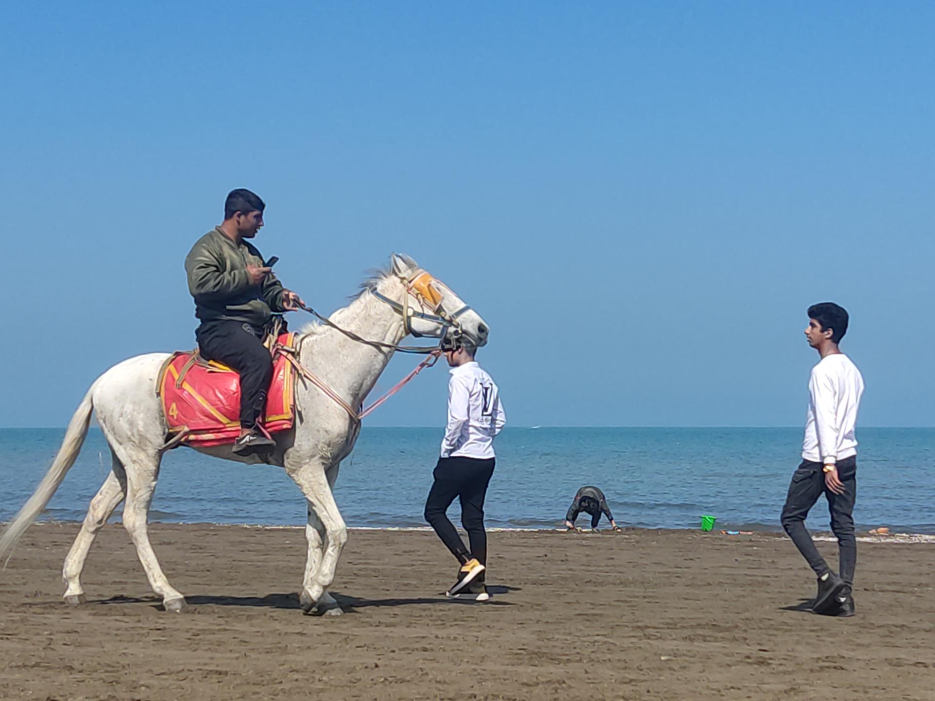 عکس سوارکاری 