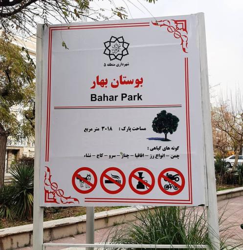 عکس بوستان همیشه بهار