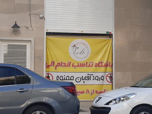 عکس باشگاه تناسب اندام الی