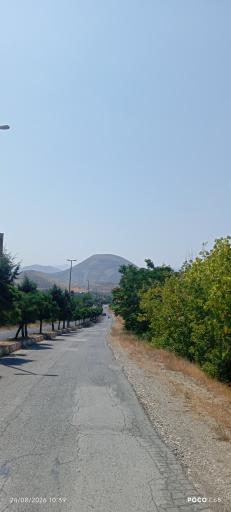 عکس کلور