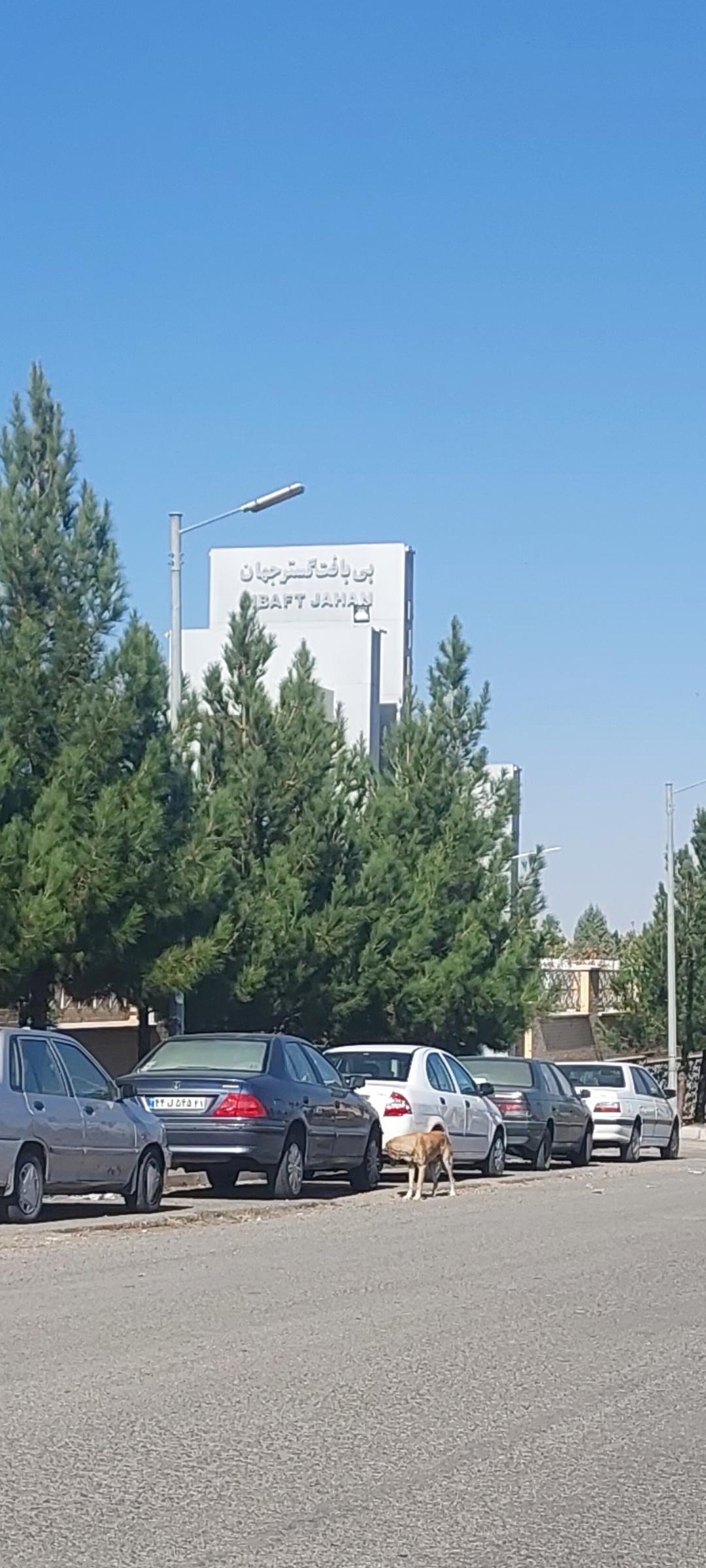 عکس شرکت بی بافت گستر جهان