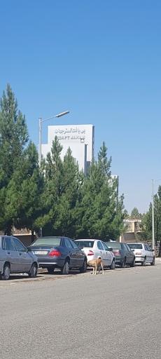 عکس شرکت بی بافت گستر جهان