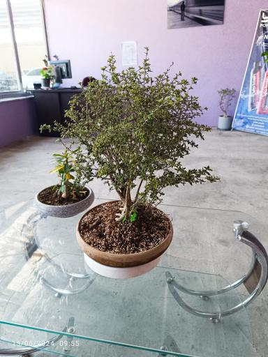 عکس کارواش ملل