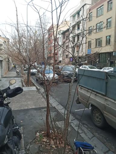 عکس اداره پزشکی قانونی منطقه شمال تهران